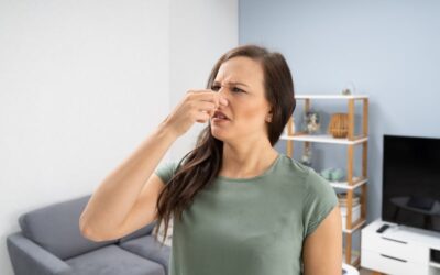 The Causes of 4 Common AC Odors in Dandridge, TN